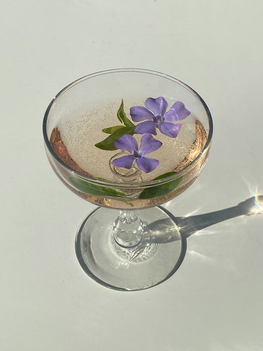 Lavender Mimosa